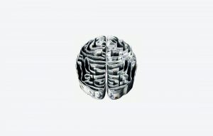 behavioural finance money brain Lowrie