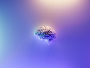 market-portfolio-index-fund-hedge-fund-battle-of-brains-Lowrie-Financial