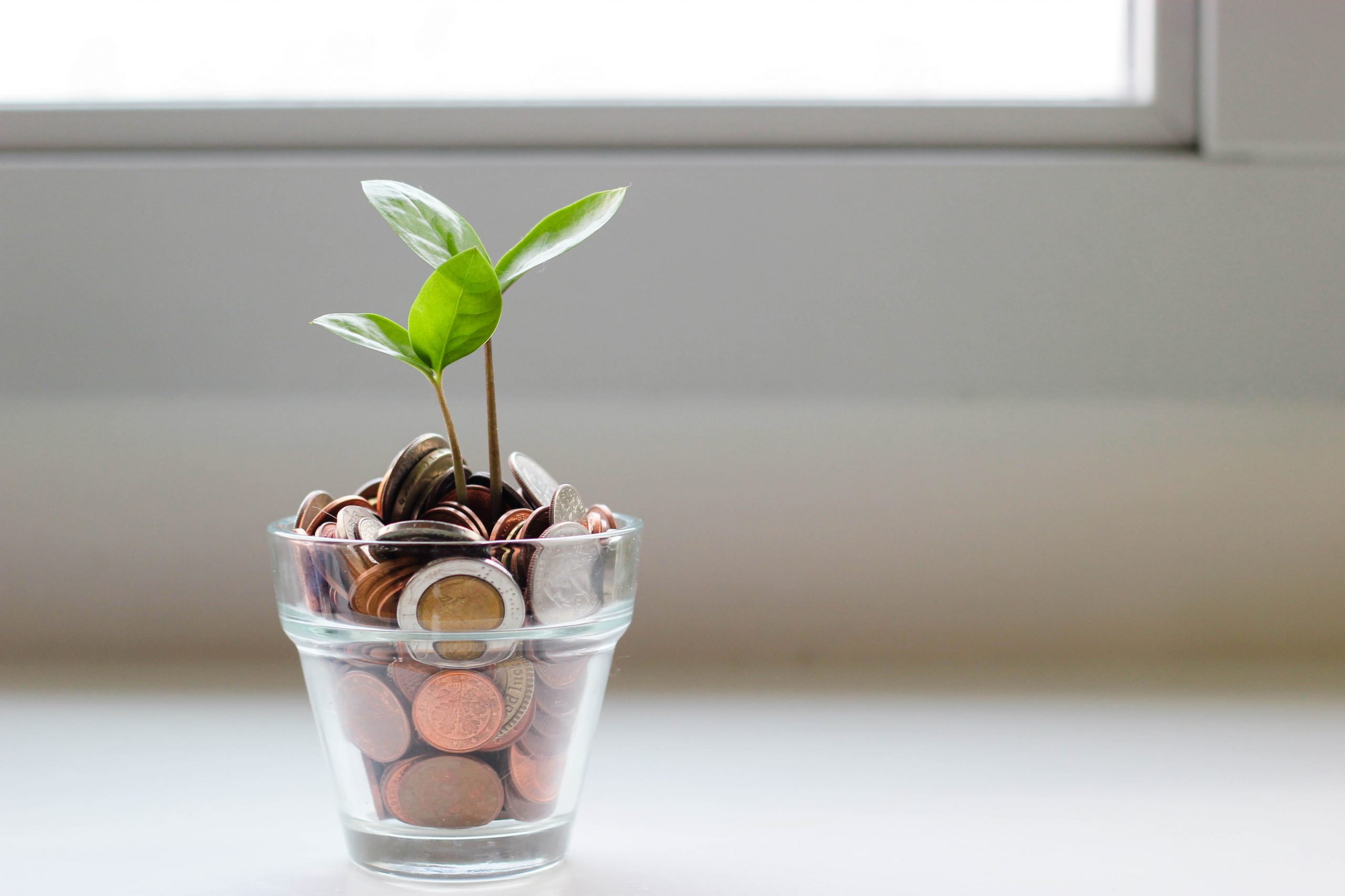 You are currently viewing Thinking of Selling Your Business? Keep the Most Money and Minimize Taxes