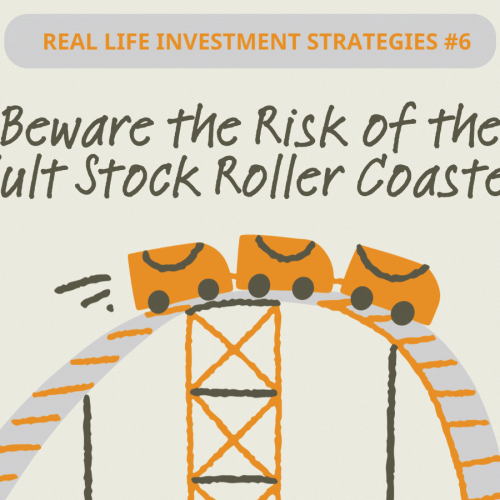 Real Life Investment Strategies #6: Beware the Risk of the Cult Stock Roller Coaster
