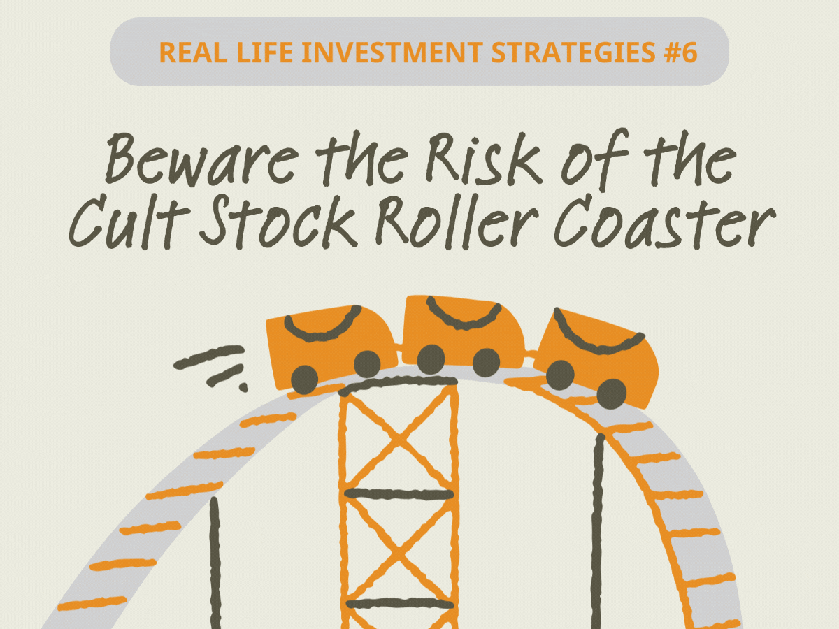 You are currently viewing Real Life Investment Strategies #6: Beware the Risk of the Cult Stock Roller Coaster